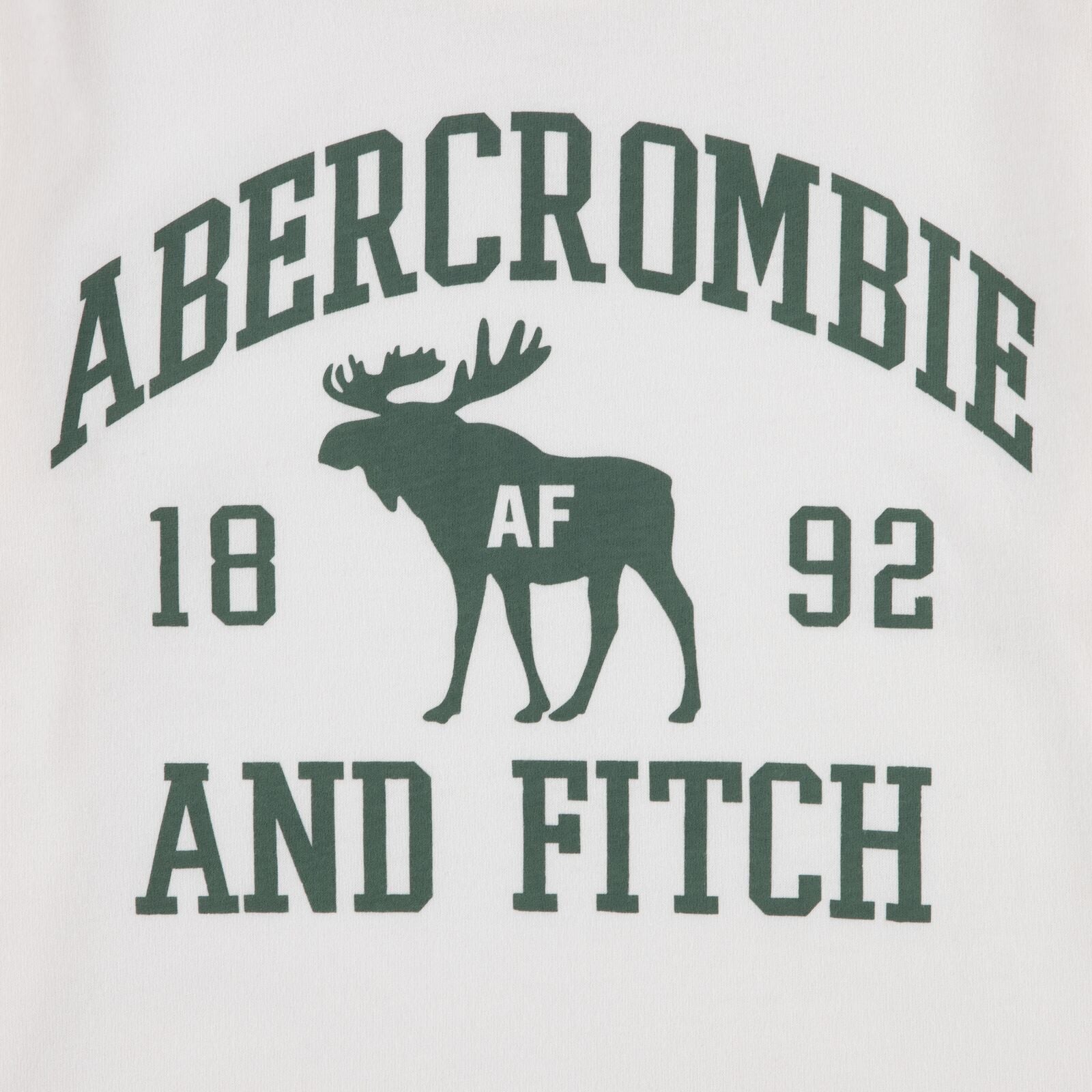 Abercrombie and Fitch - T-skjorte Moose Lockup Jet Stream
