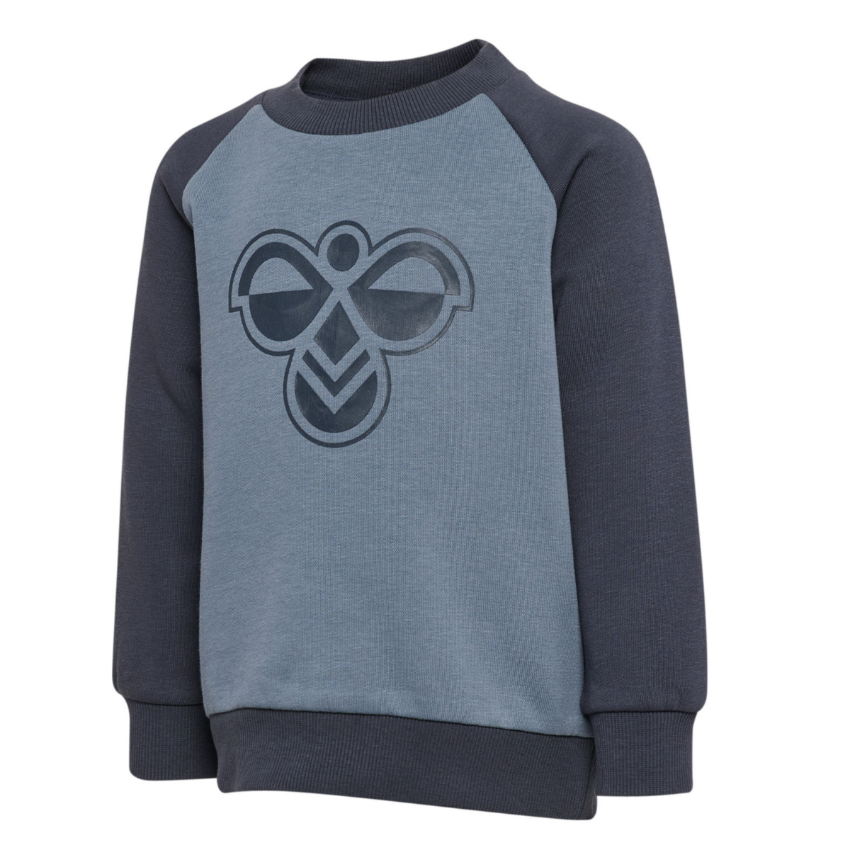 Hummel - Joggedress 2-delt Mini Reg Bumble Set Ombre Blue