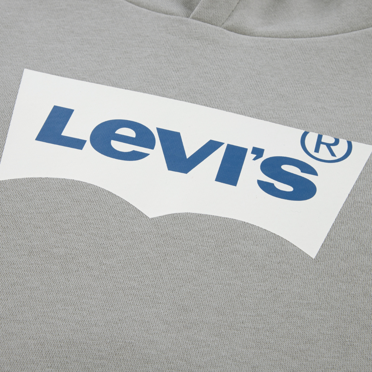 Levi's - Hettegenser Batwing Screenprint Ghost Gray