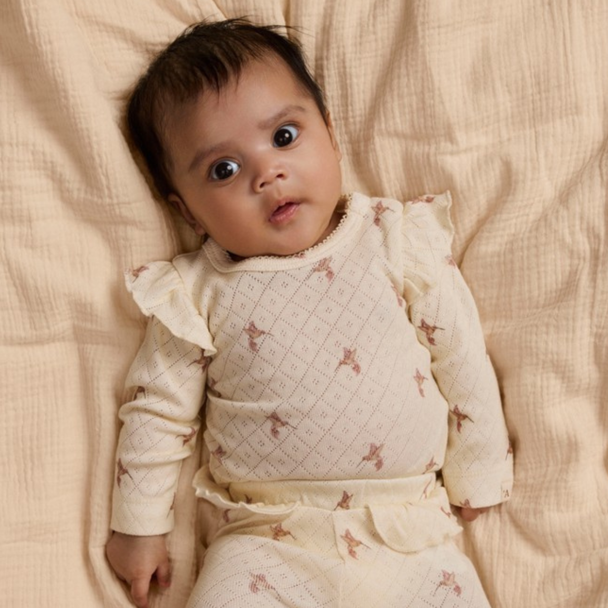 Lil' Atelier - Body Rachello Turtledove Bird