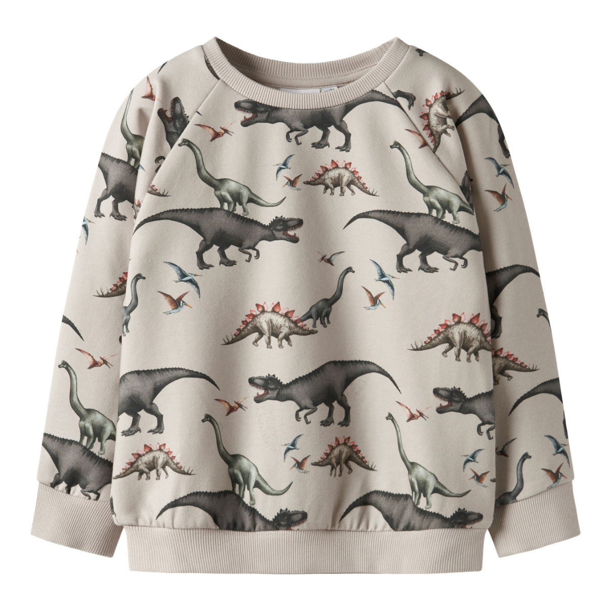Name It - Genser Sweat Bertil Dino Pumice Stone