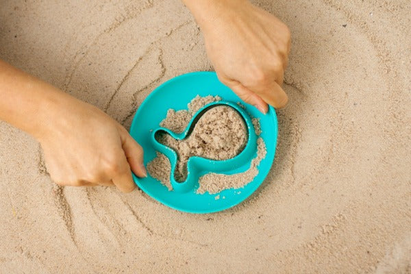 Quut - Sandleke Starfish
