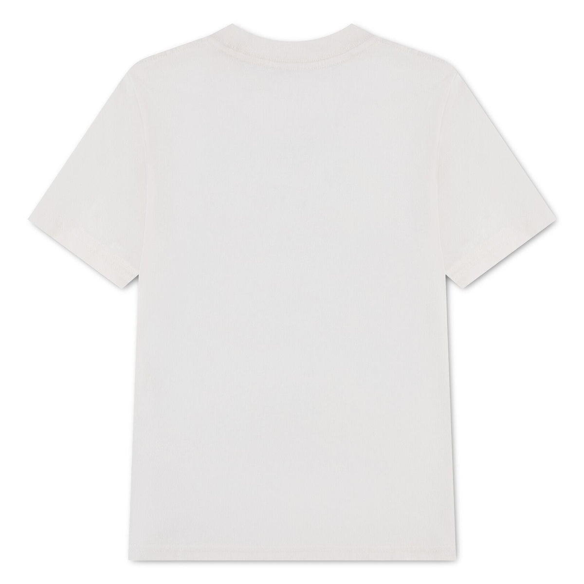 Abercrombie and Fitch - T-skjorte Moose Lockup Jet Stream - Guttelus