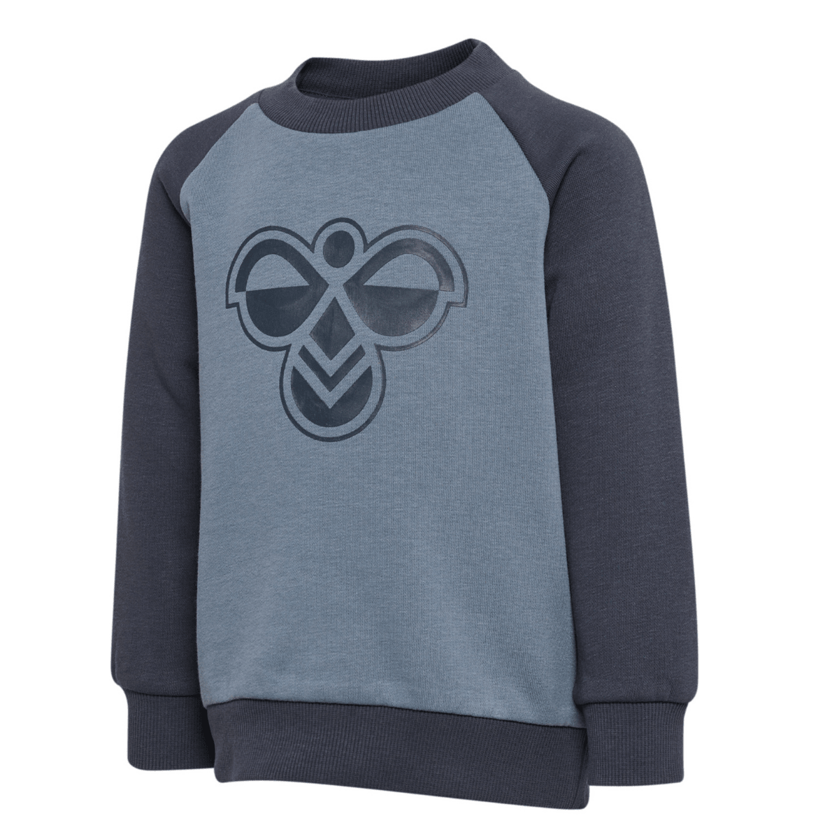 Hummel - Joggedress 2-delt Mini Reg Bumble Set Ombre Blue - Guttelus.no