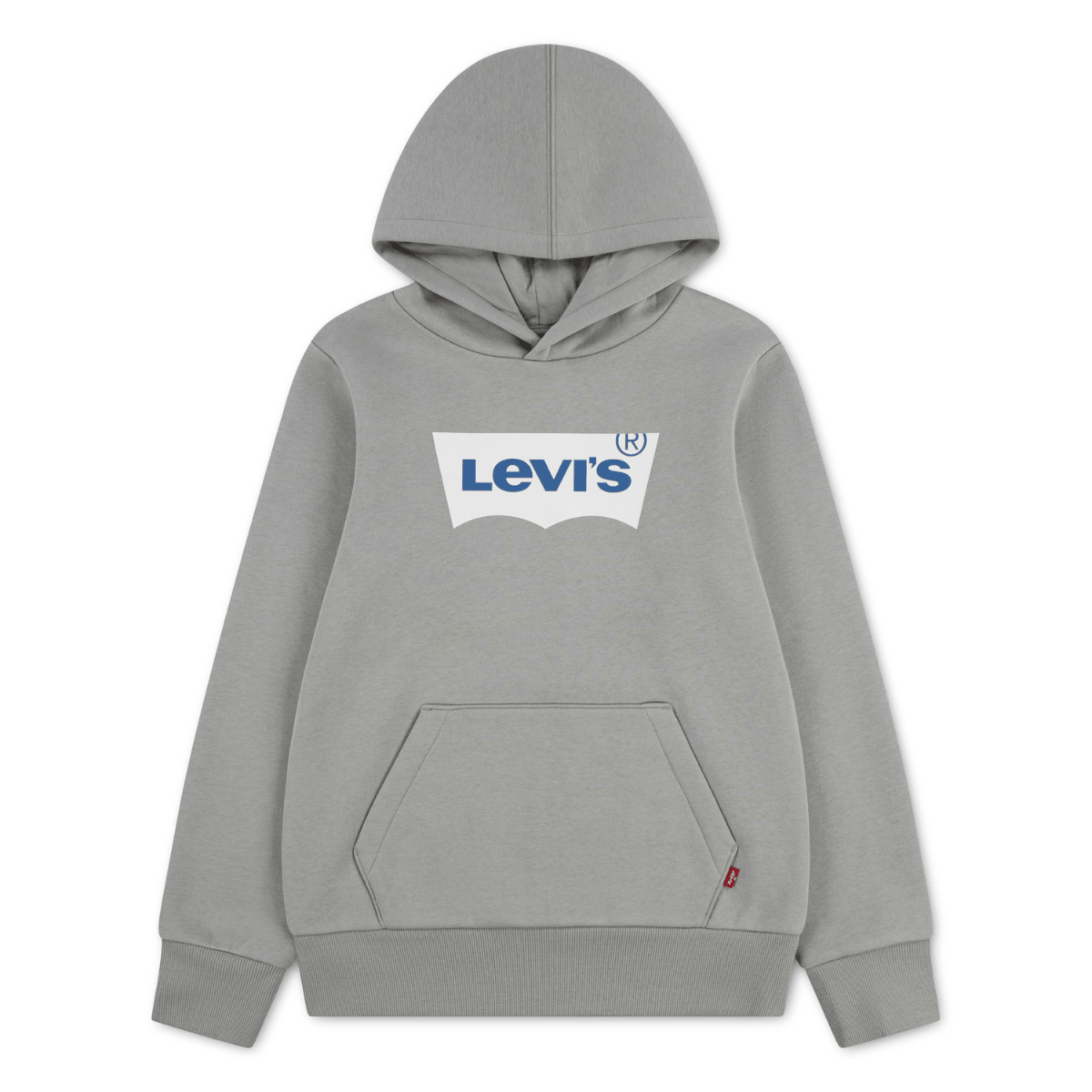 Levi's - Hettegenser Batwing Screenprint Ghost Gray - Guttelus