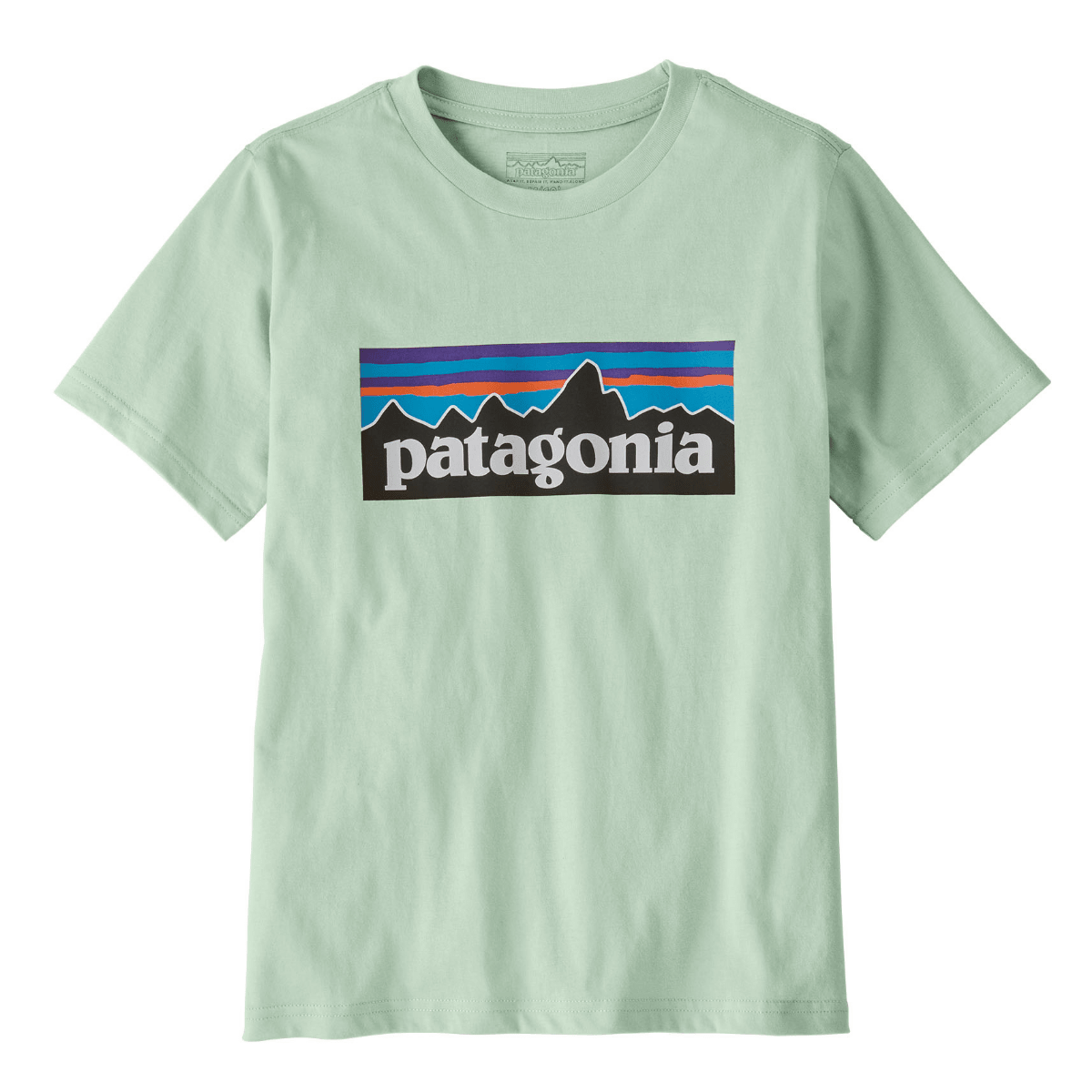Patagonia - T-skjorte P-6 Logo Thin Ice - Guttelus.no