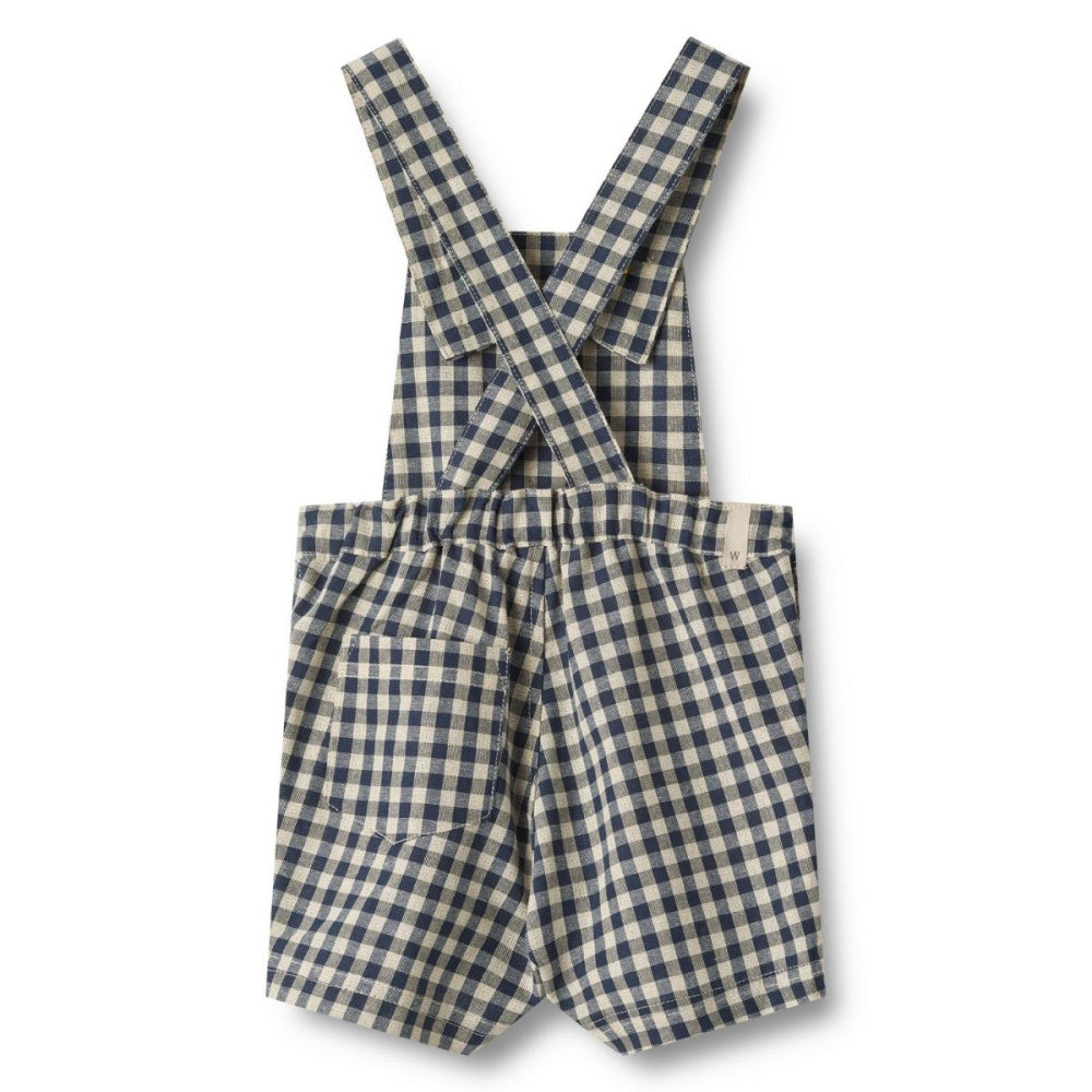 Wheat - Seleshorts Erik Blue Check