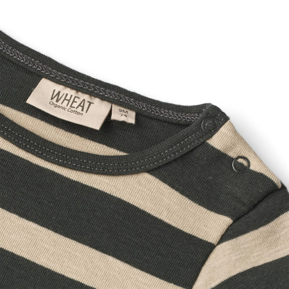 Wheat - Body Freddie Dark Stripe
