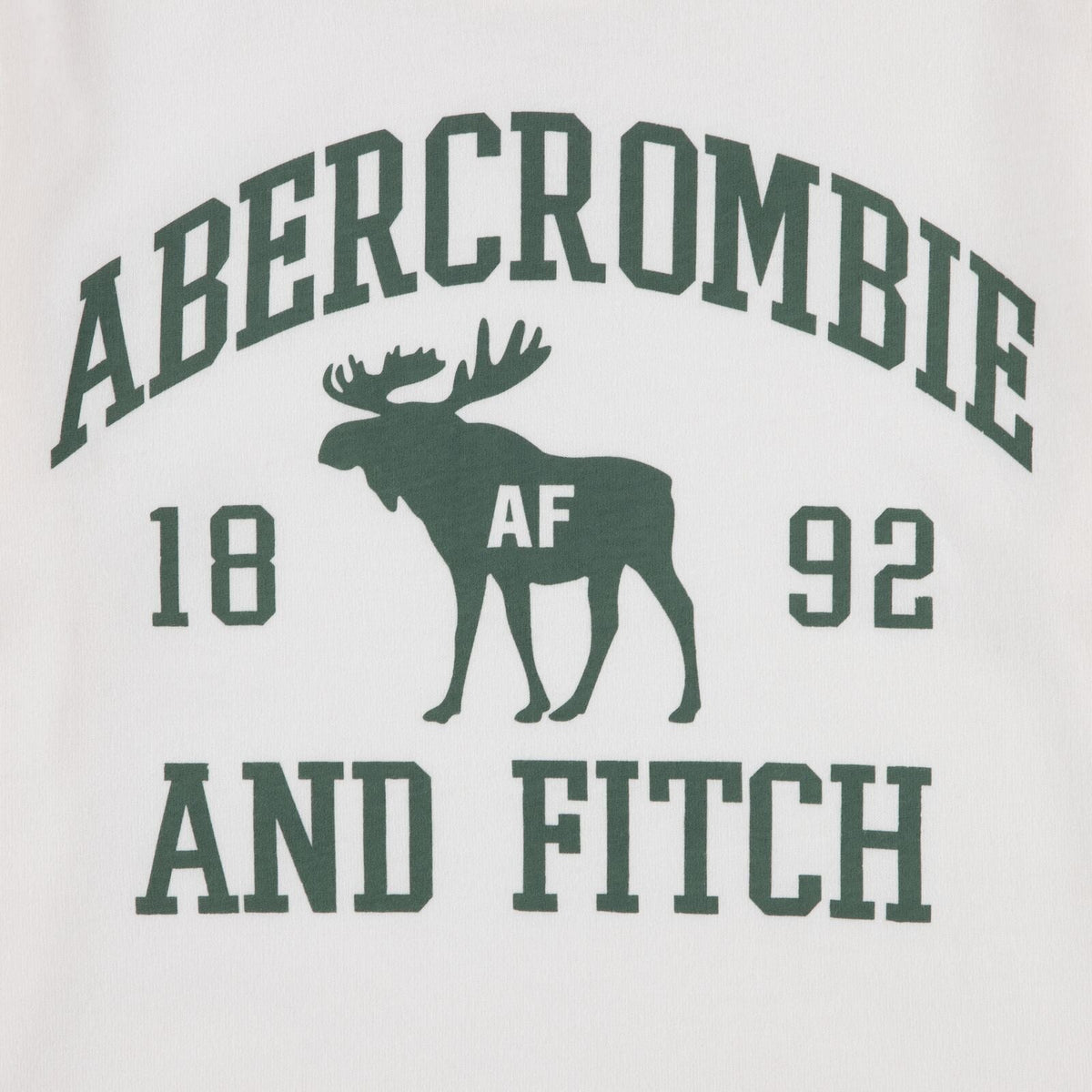 Abercrombie and Fitch - T-skjorte Moose Lockup Jet Stream - Guttelus