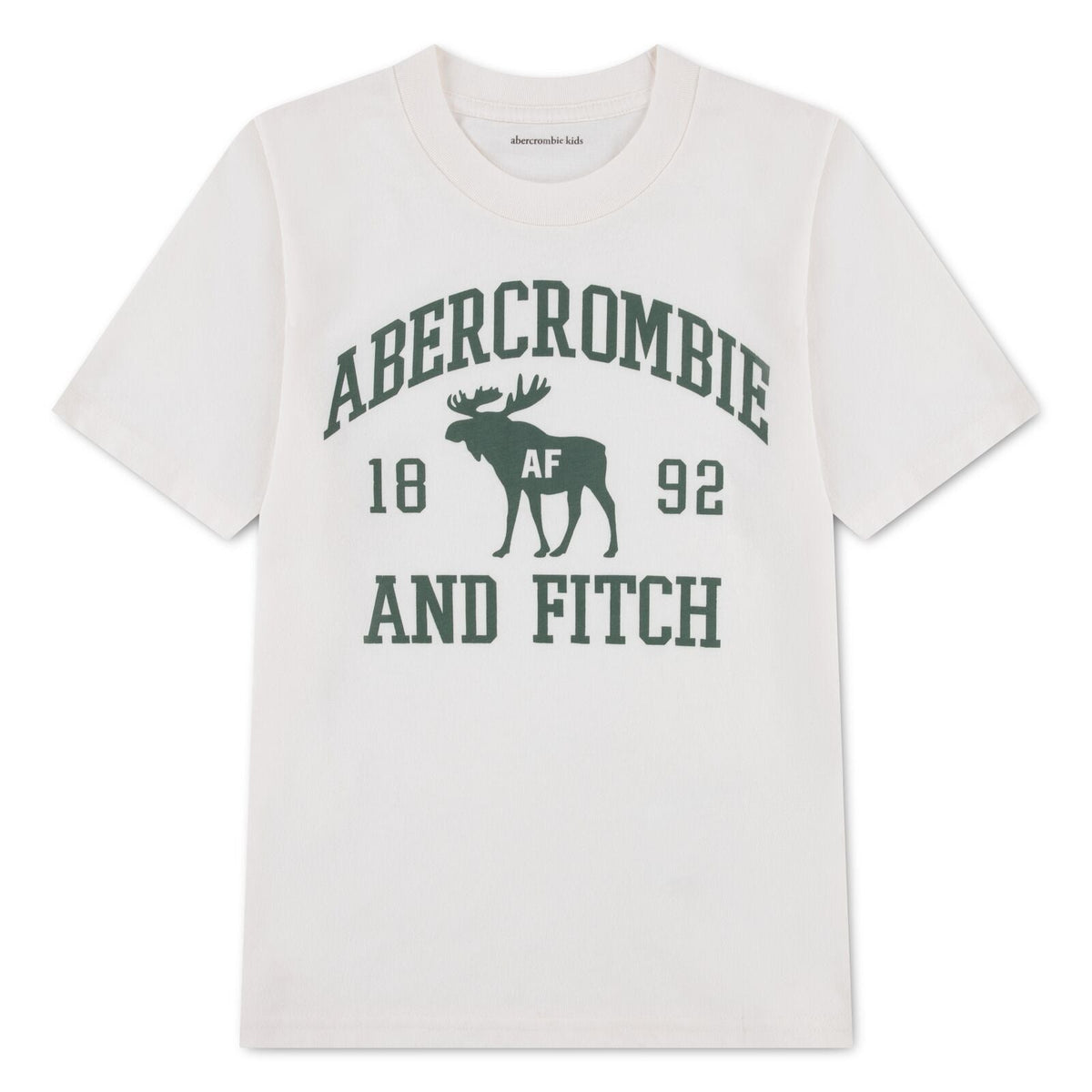 Abercrombie and Fitch - T-skjorte Moose Lockup Jet Stream - Guttelus
