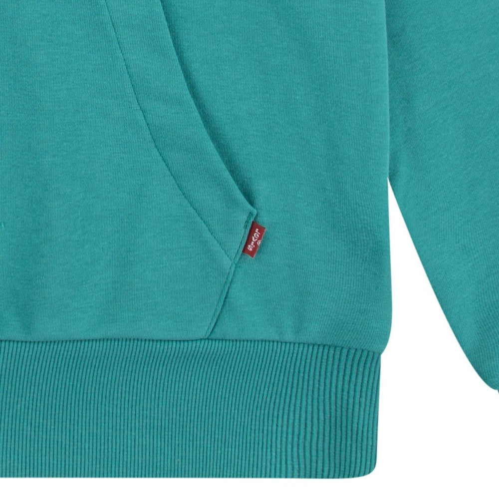 Levi's - Hettegenser LVB Batwing Pullover Hoodie Porcelain Green