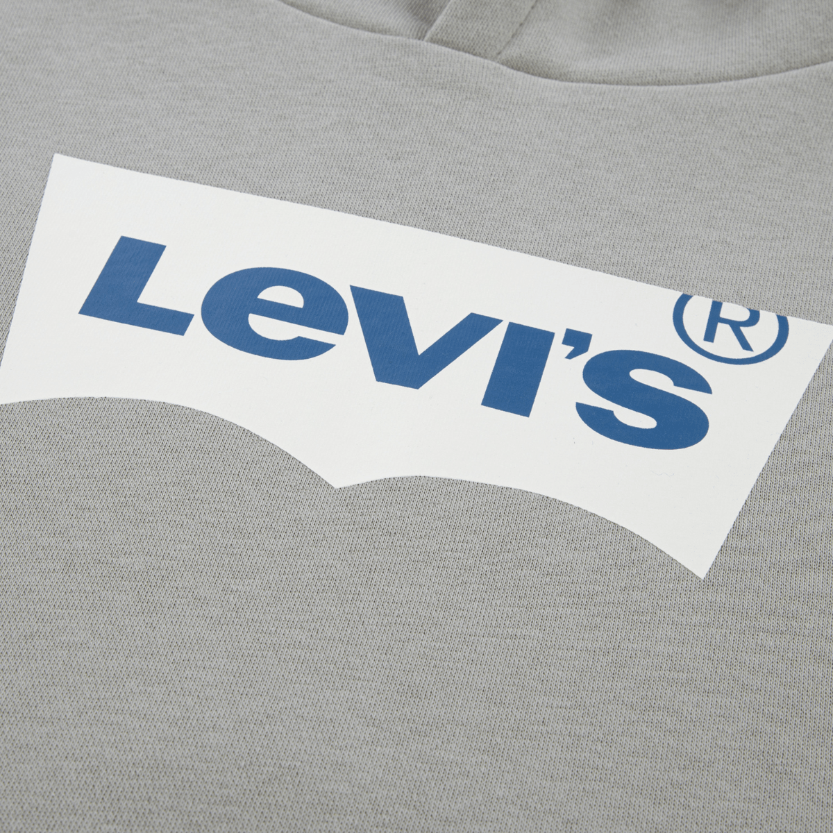 Levi's - Hettegenser Batwing Screenprint Ghost Gray - Guttelus