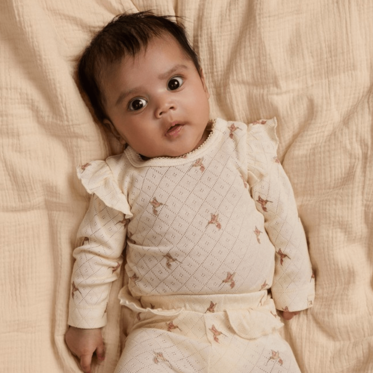 Lil' Atelier - Body Rachello Turtledove Bird - Guttelus