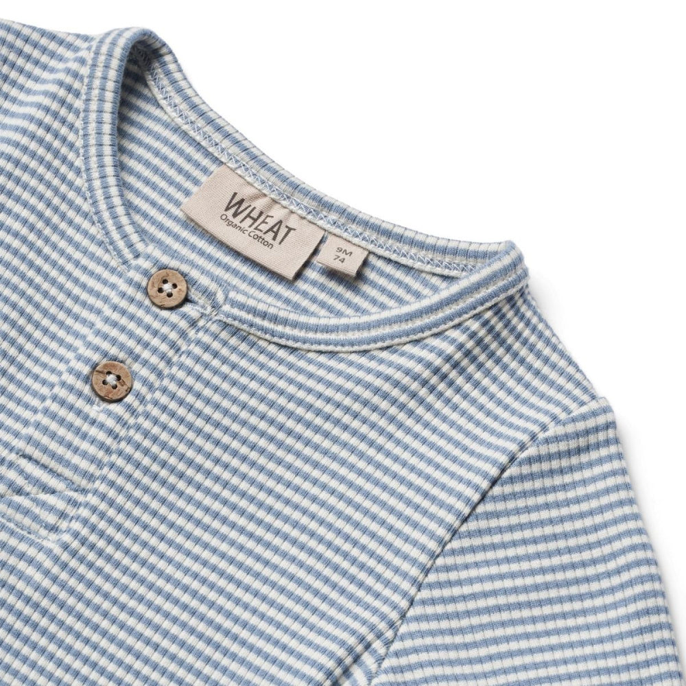 Wheat - Body Benny Blue Stripe