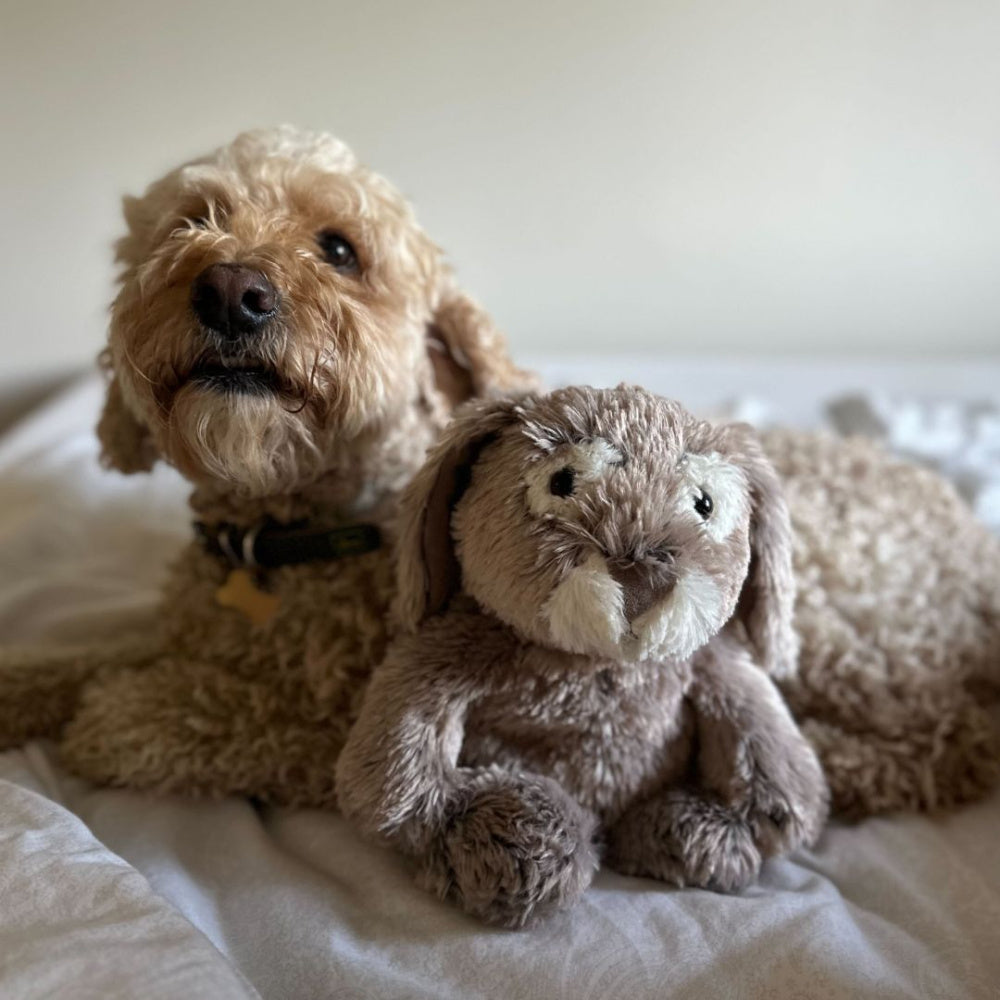 Cozy Time - Varmebamse Kanin